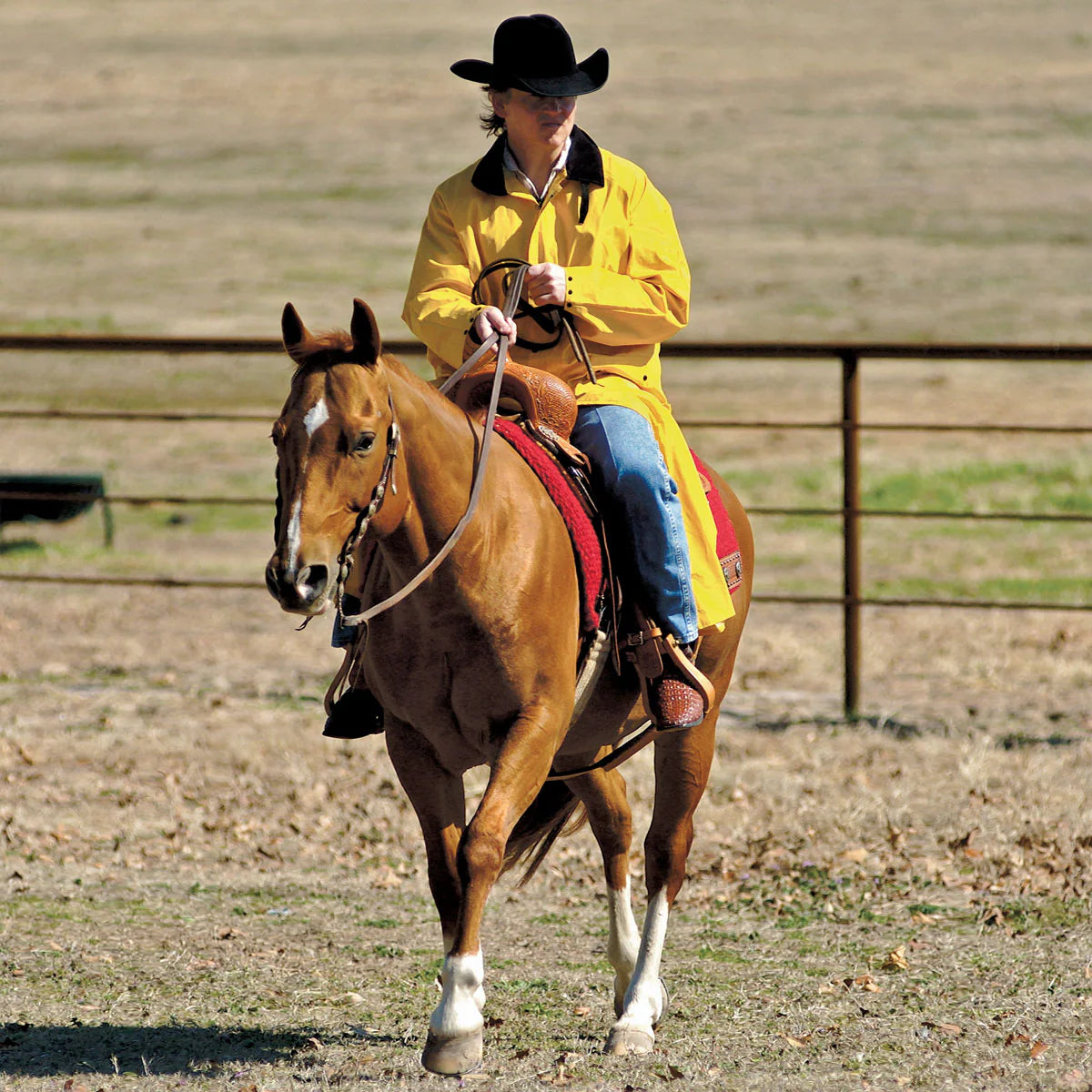 M&F Western Saddle Slicker - YELLLOW 1213018