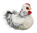 1792 Salty Black & White Hen