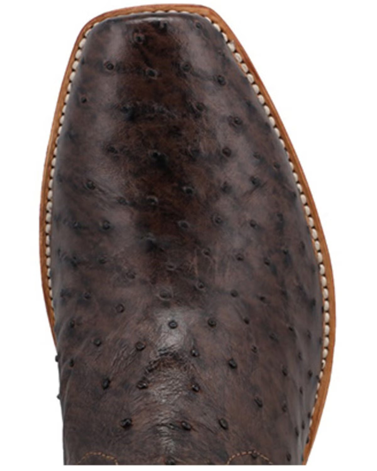 TWISTED X MEN'S RESERVE EXOTIC FULL QUILL OSTRICH MXPL004