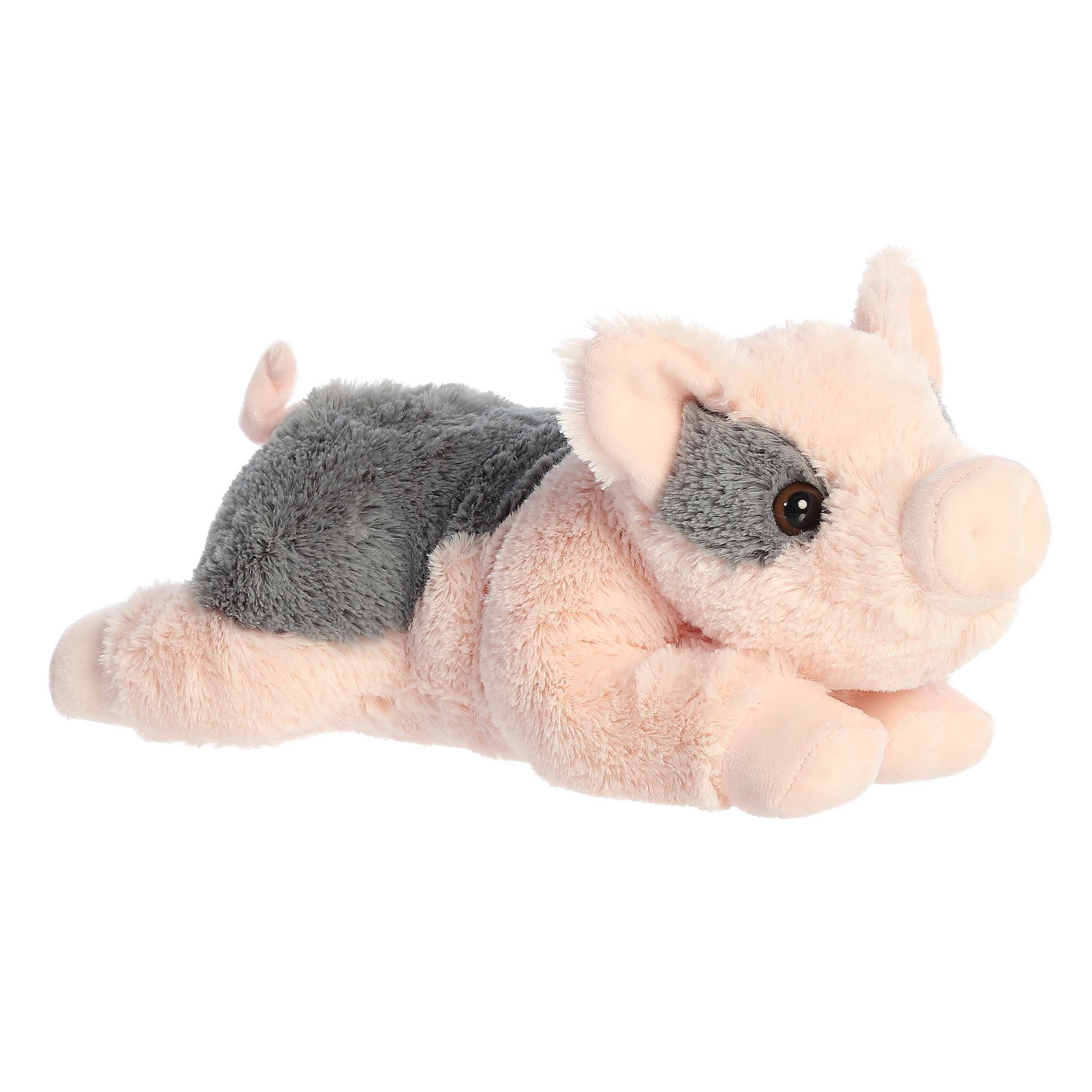 31587 Tidbit Mini Pig