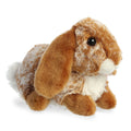 31838 Lopso Bunny