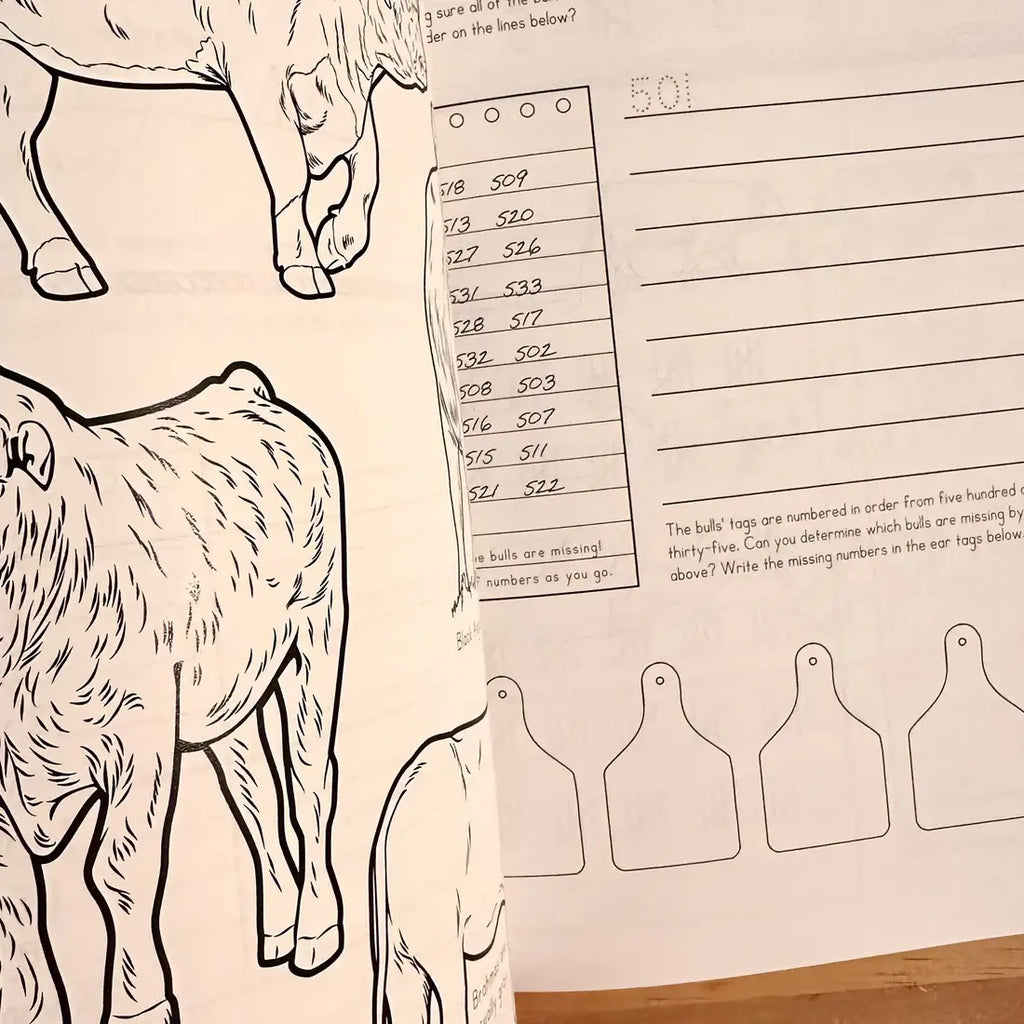Ranch Math Grade 2: Money, Fractions, and Place Value