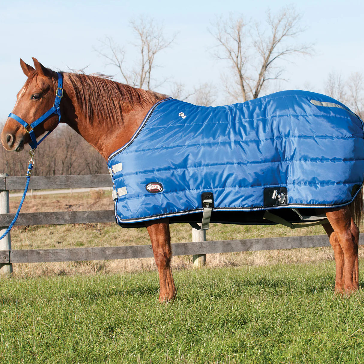 35-1510  Winter Horse Stable Blanket