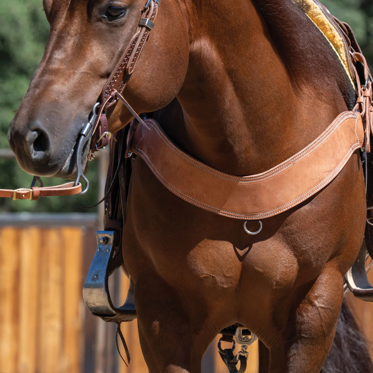 Heavy-Duty Steer Roper Breast Collar 40-0923