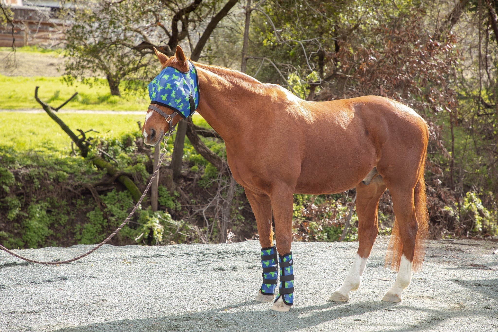 FFR30 Flying Frogs Blue Frog Fly Mask with Fleece Binding