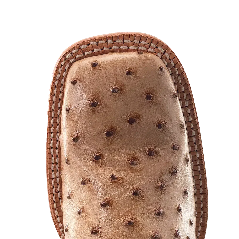 R.Watson Ladies  RWL4302-2