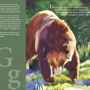 C Is For Cowboy: A Wyoming Alphabet Picture Book