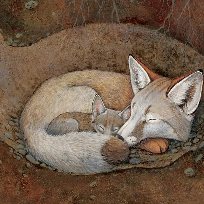 Sleepy Snoozy Cozy Coozy Board Book