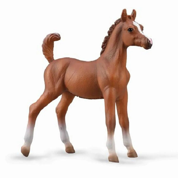 Arabian Foal 88992