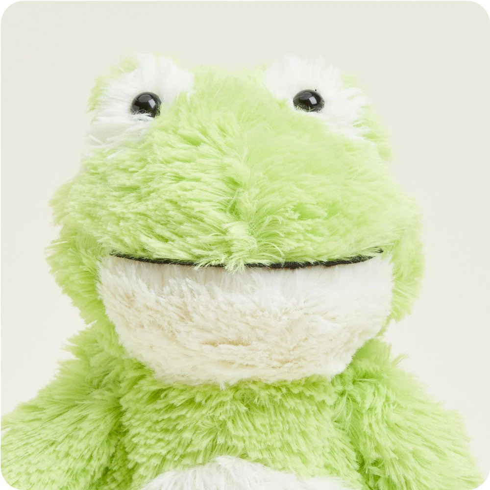 Frog Warmies CP-FRO-1