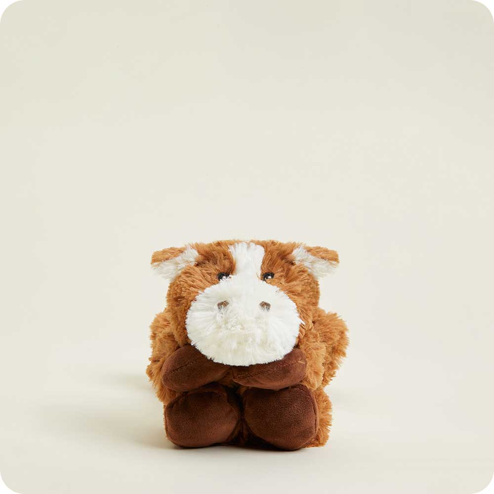 Horse Warmies Wrap CPW-HOR-1