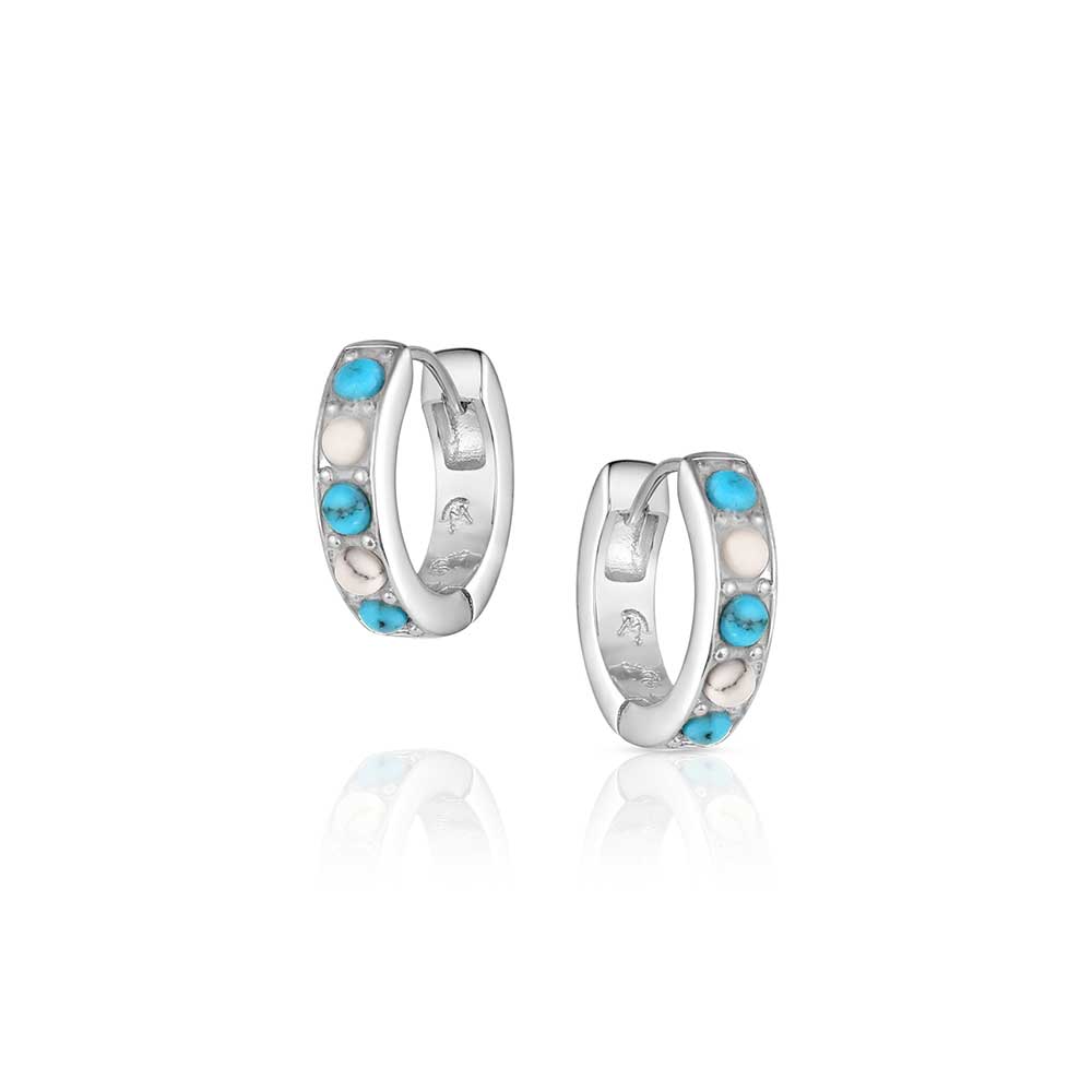 ER6388 Circle the West Earrings