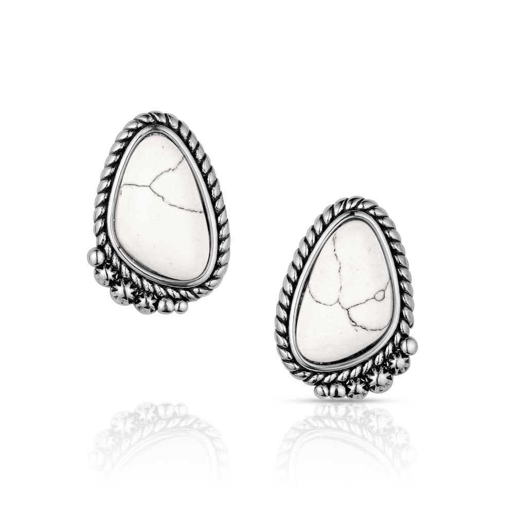ER6404 Stargazer Earrings