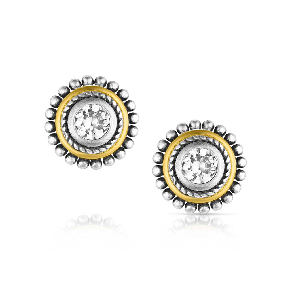 ER6447 Sharpshooter Post Earrings