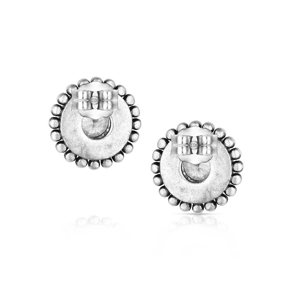 ER6447 Sharpshooter Post Earrings