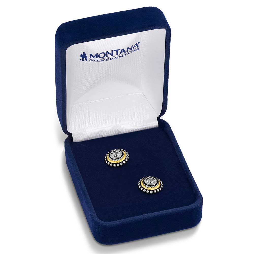 ER6447 Sharpshooter Post Earrings