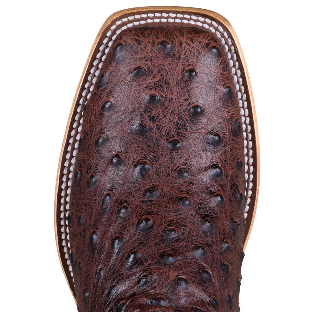 HORSE POWER BOOTS OSTRICH PRINT HP2504