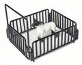 Little Buster Hog/Lamb/Goat Stall Black 200811