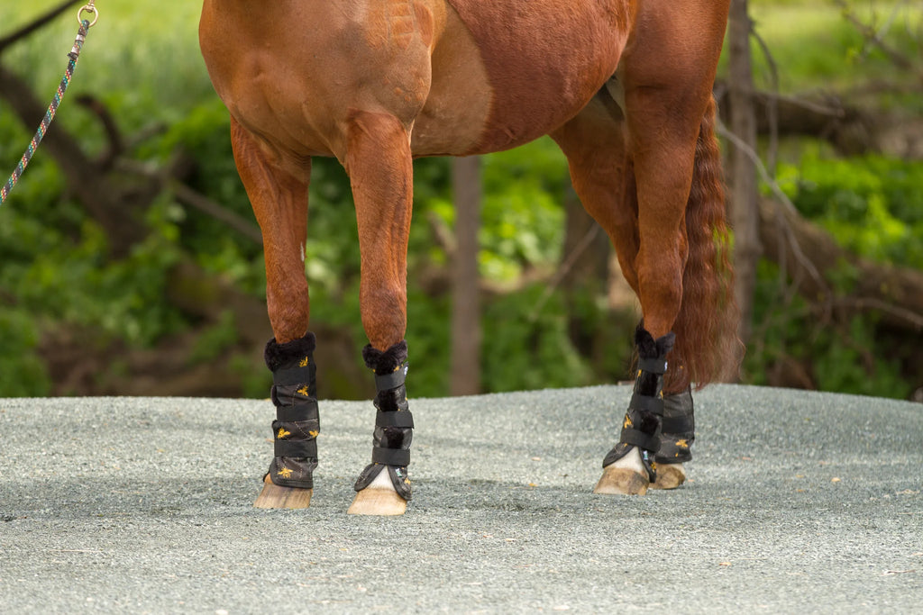 FB0001 BEE FLY BOOTS