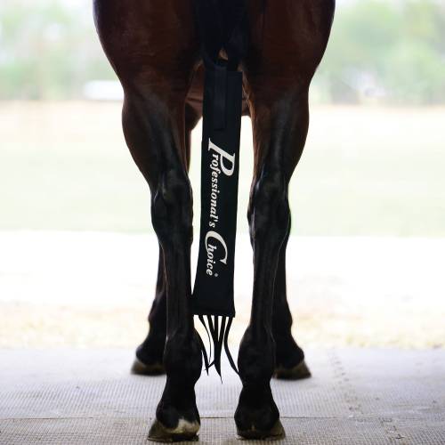 DELUXE TAIL BAG: TBD
