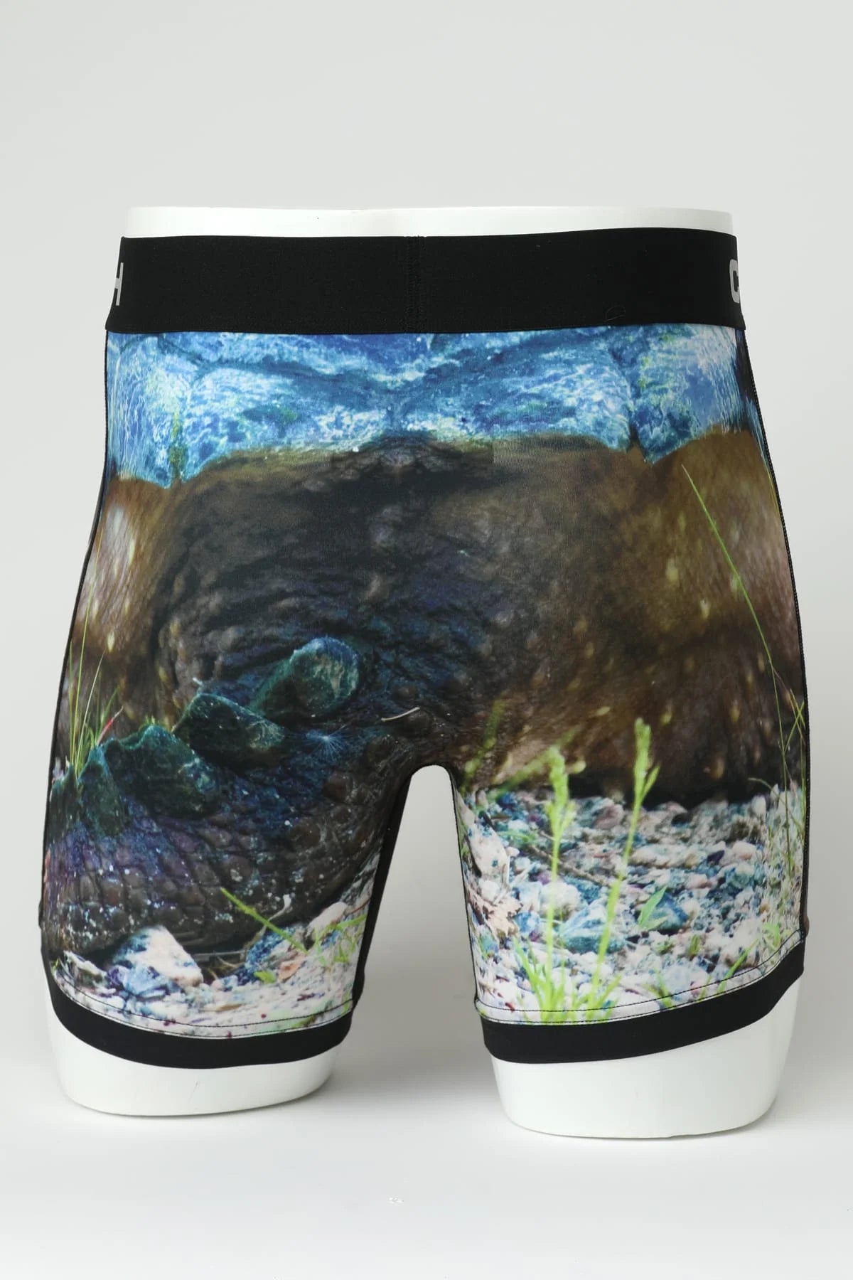 Men's Boxer Brief by Cinch ~ Turtle MXY6009020