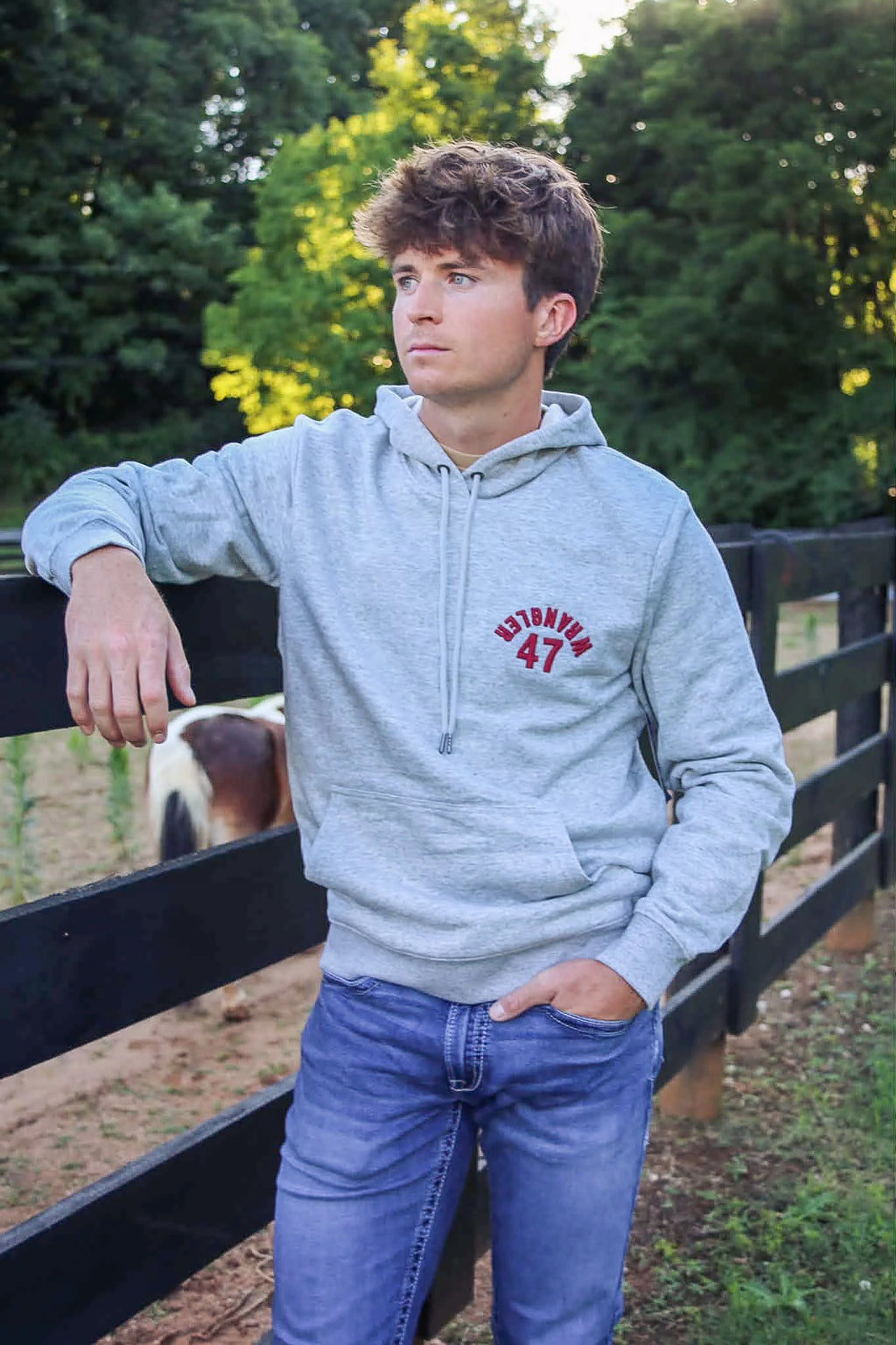 Wrangler® Western Hoodie - Regular Fit - Grey 112379562