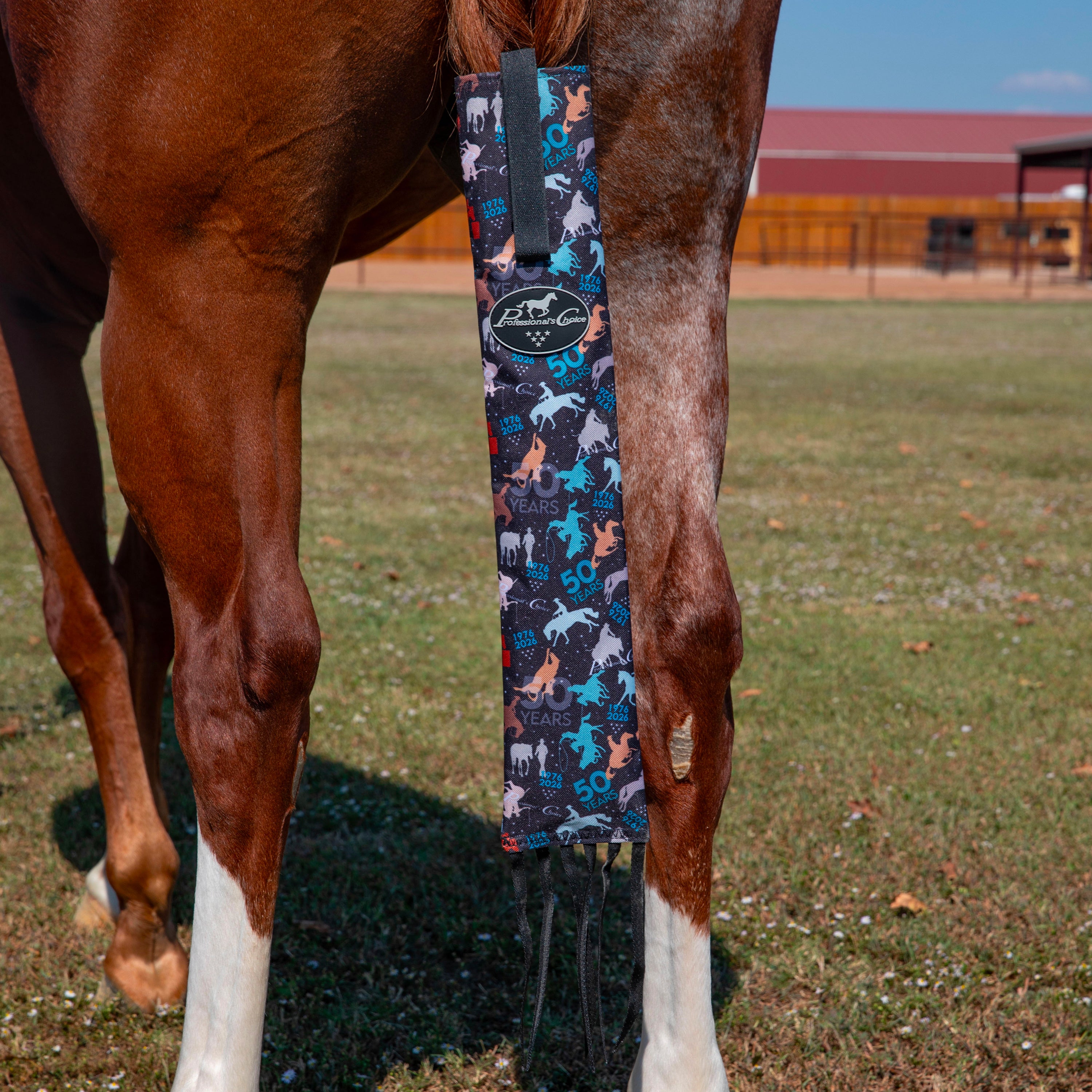 DELUXE TAIL BAG: TBD