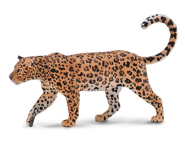African Leopard 88866