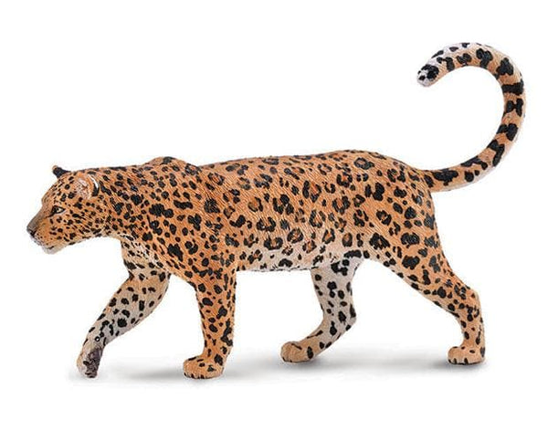 African Leopard 88866