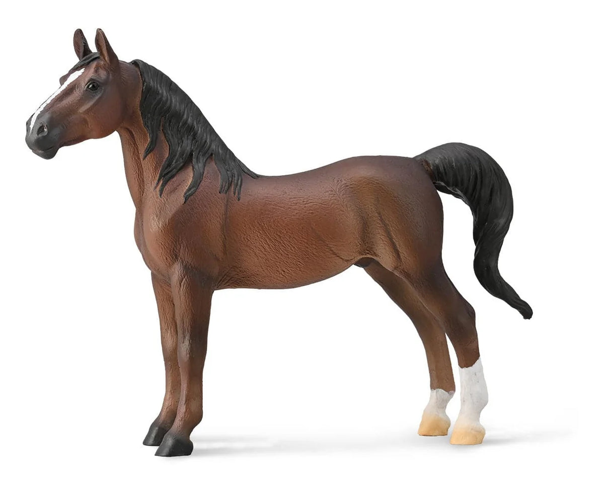 American Saddlebred Stallion | Bay 88954
