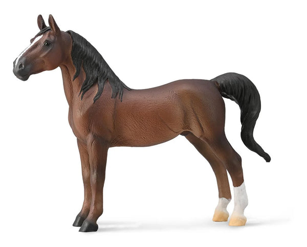 American Saddlebred Stallion | Bay 88954