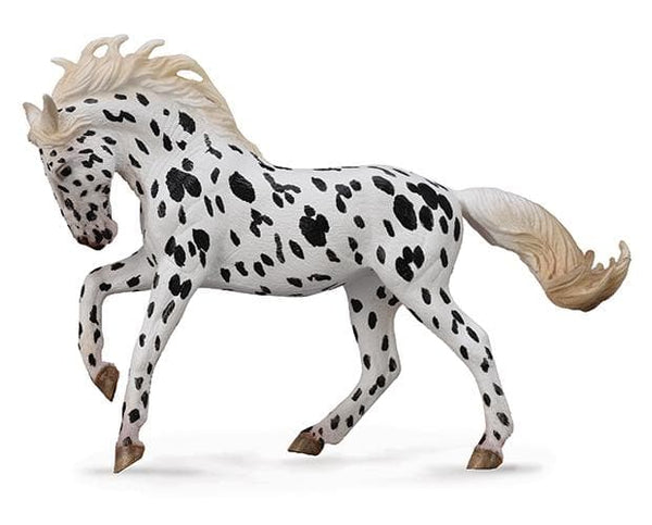 Knabstrupper Mare | Black Leopard 88720
