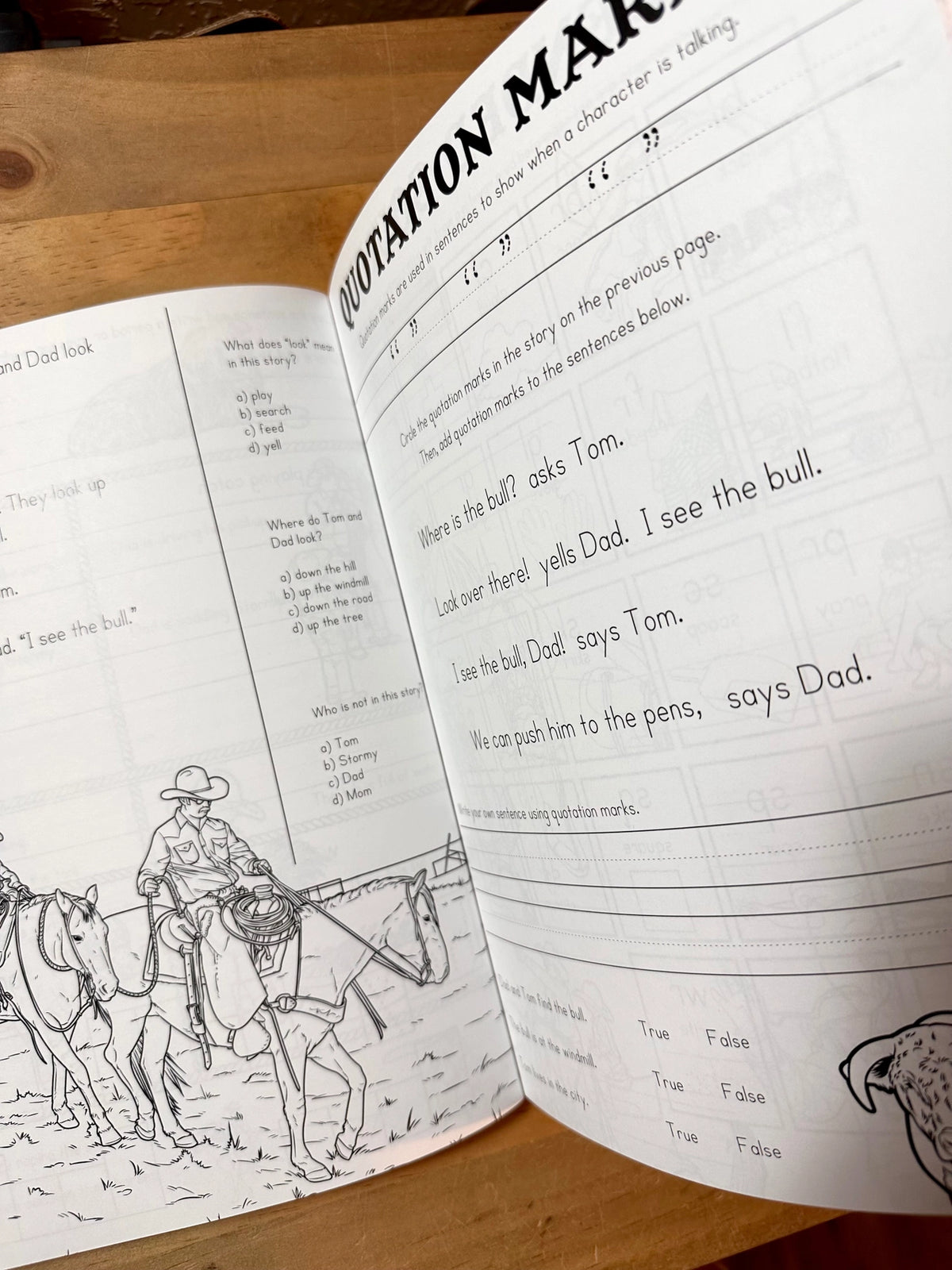 The Reading Ranch Cowboy Tom: Workbook Two