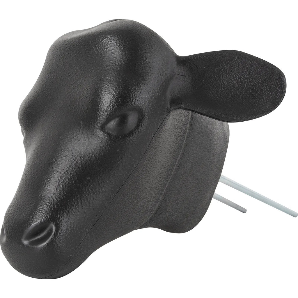 CALFHD24 Calf Head