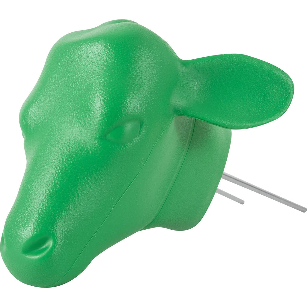 CALFHD24 Calf Head