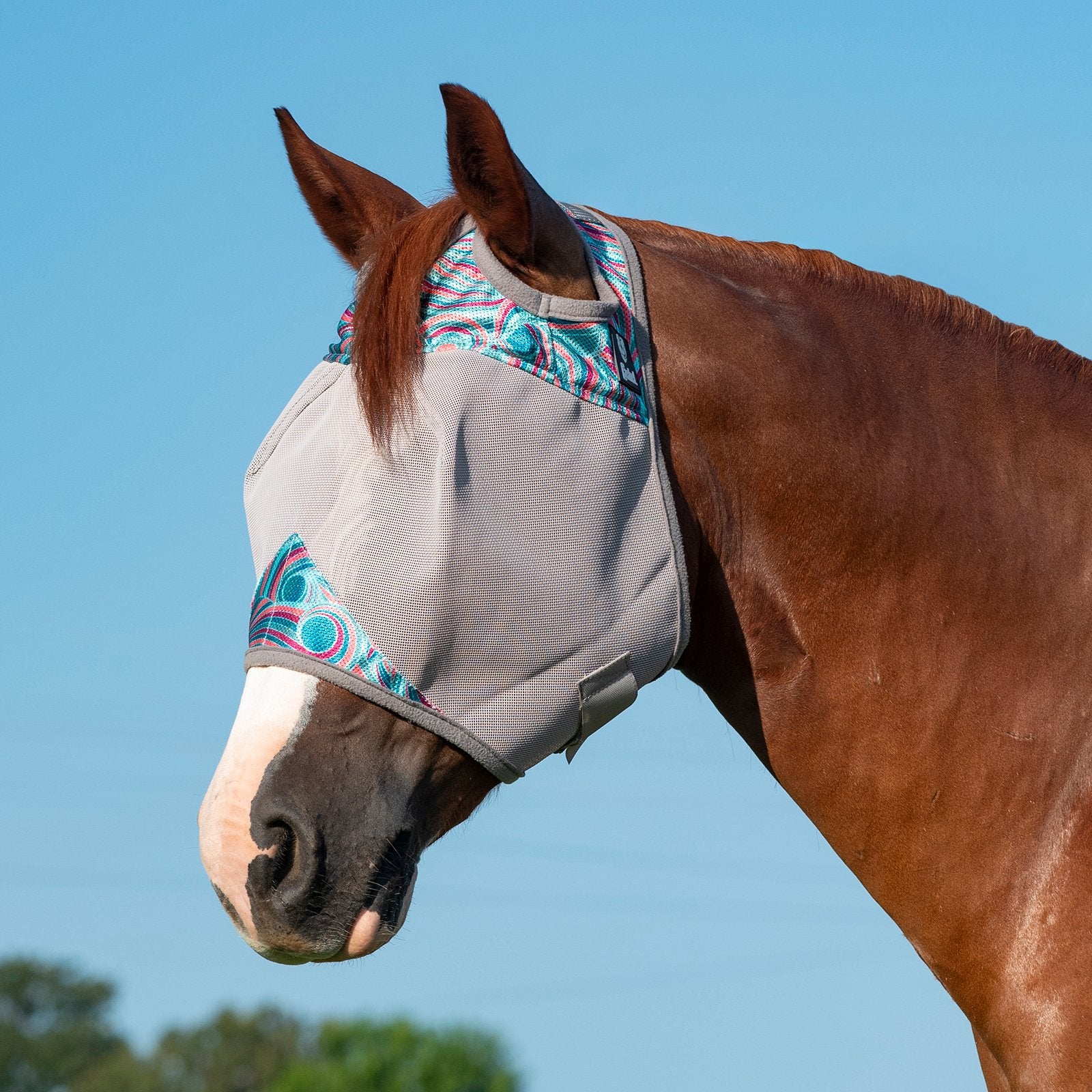 Crusader Fly Mask Standard CFMS-G