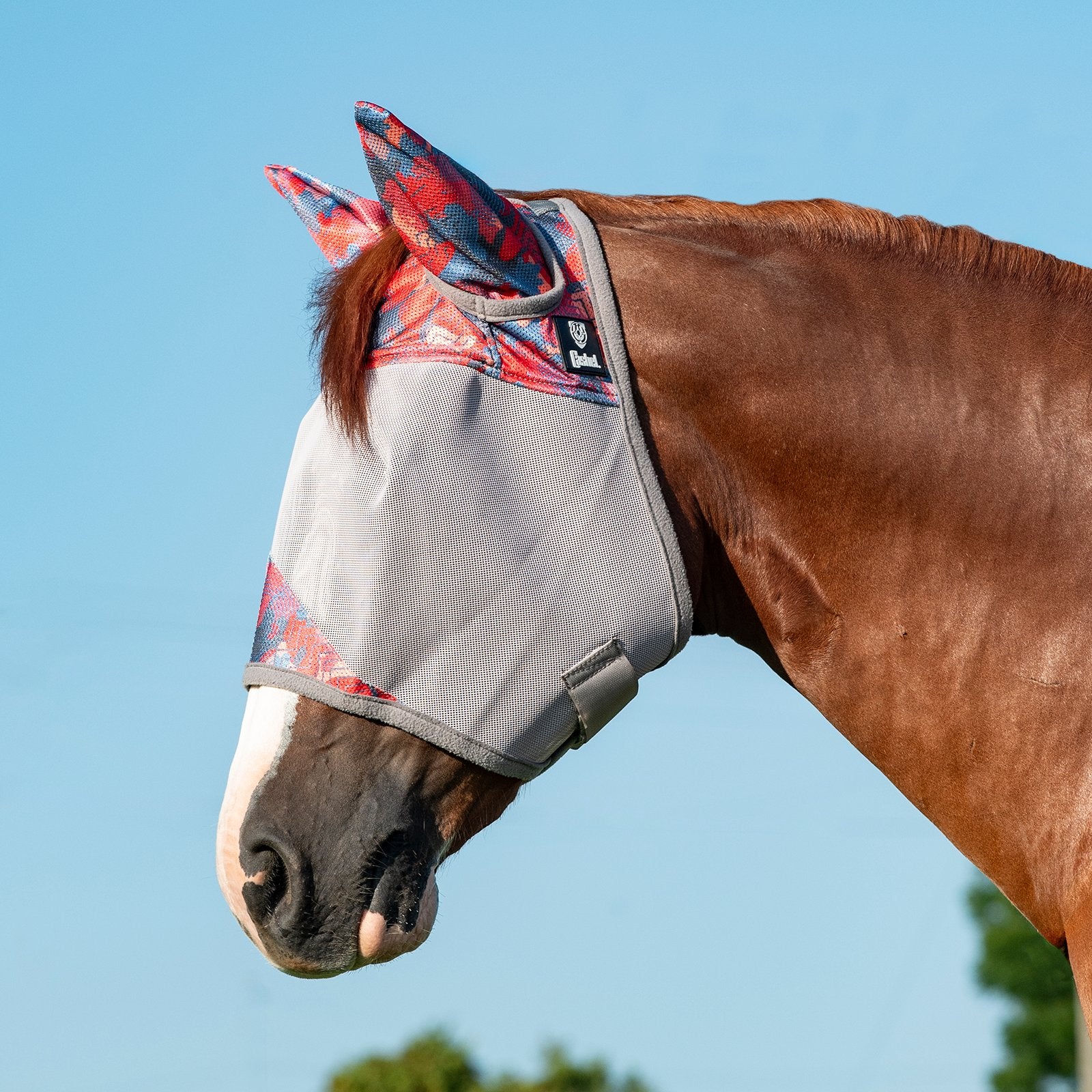 Crusader Fly Mask Standard with Ears CFMSE-G