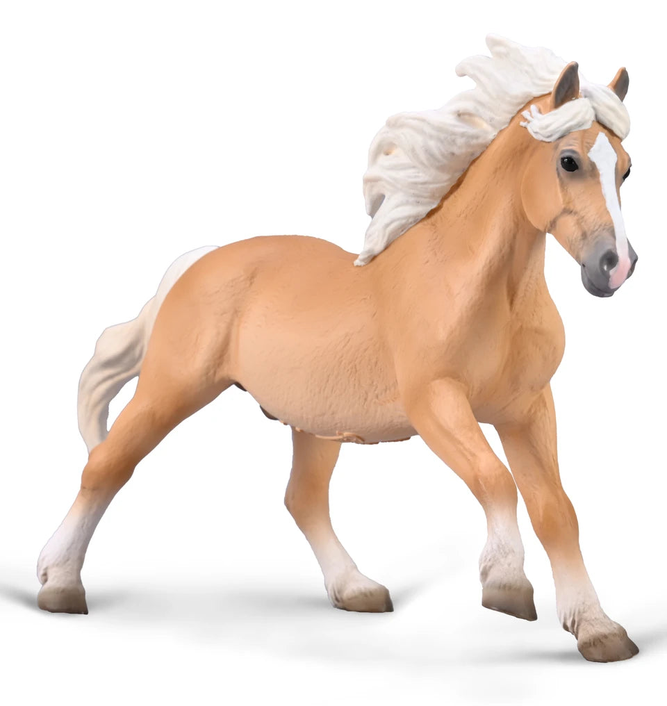 Haflinger Stallion 80038