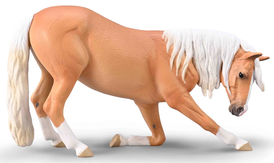 Lusitano mare bowing Palomino 80042