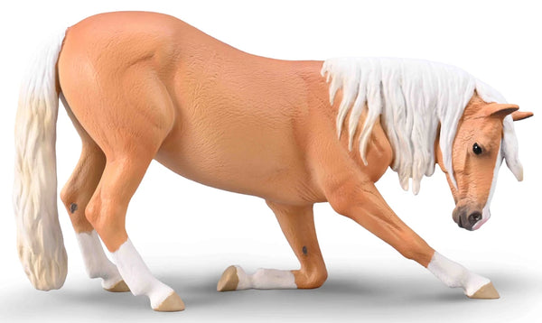 Lusitano mare bowing Palomino 80042