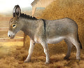 Breyer donkey 88934