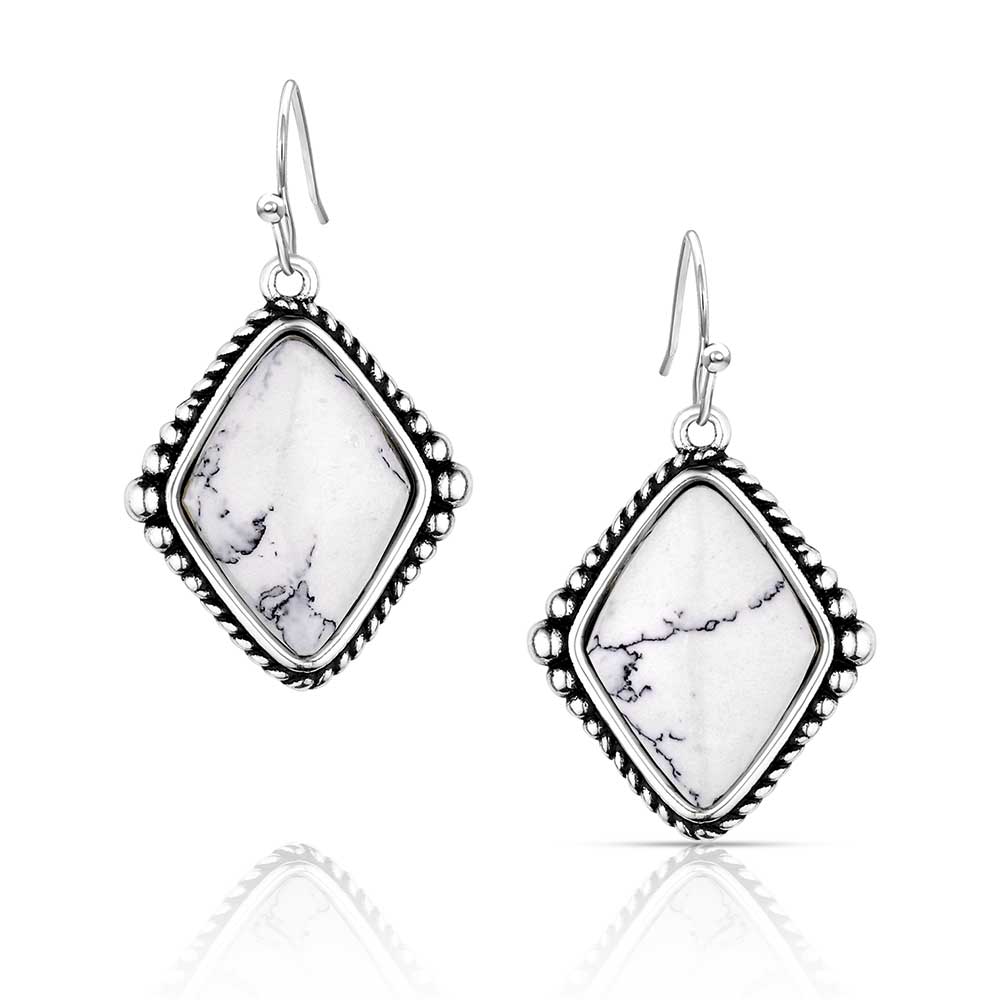 ER5970 Blank Slate Earrings