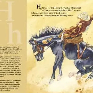 C Is For Cowboy: A Wyoming Alphabet Picture Book