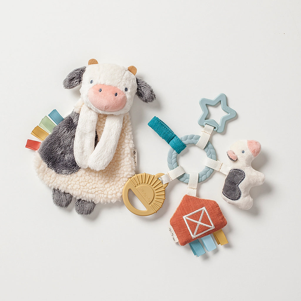 Bitzy Busy Gift Set GS8531