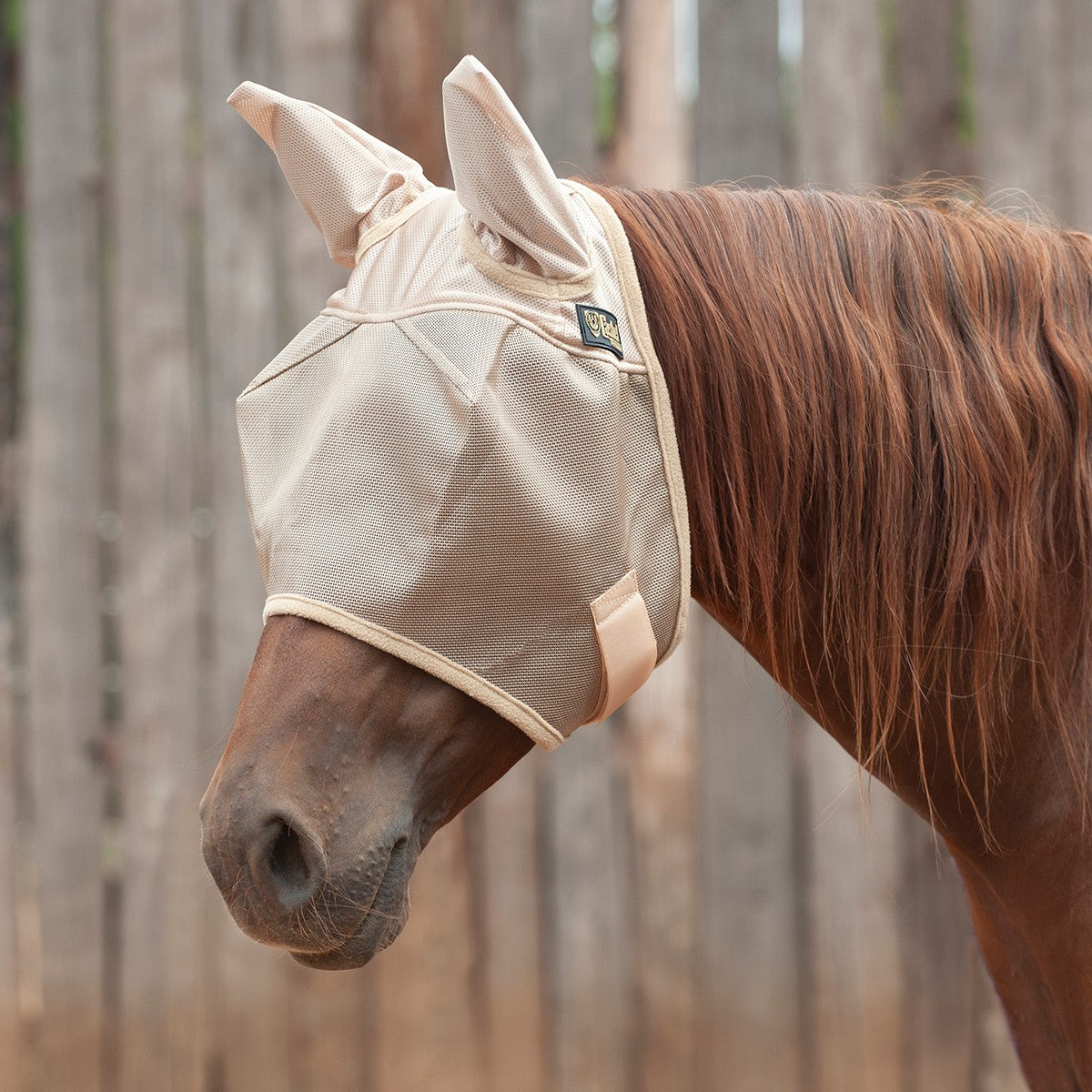 Econo Fly Mask with Ears EFMSE