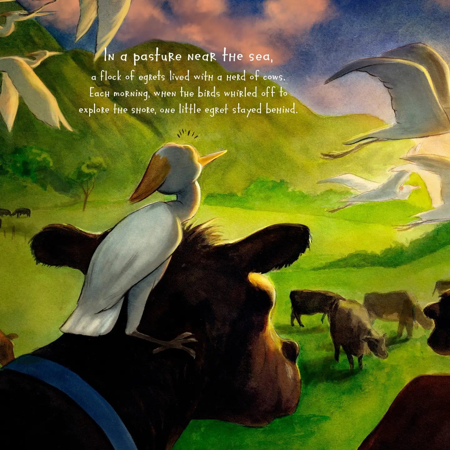 Where's My Cow? Picture Book
