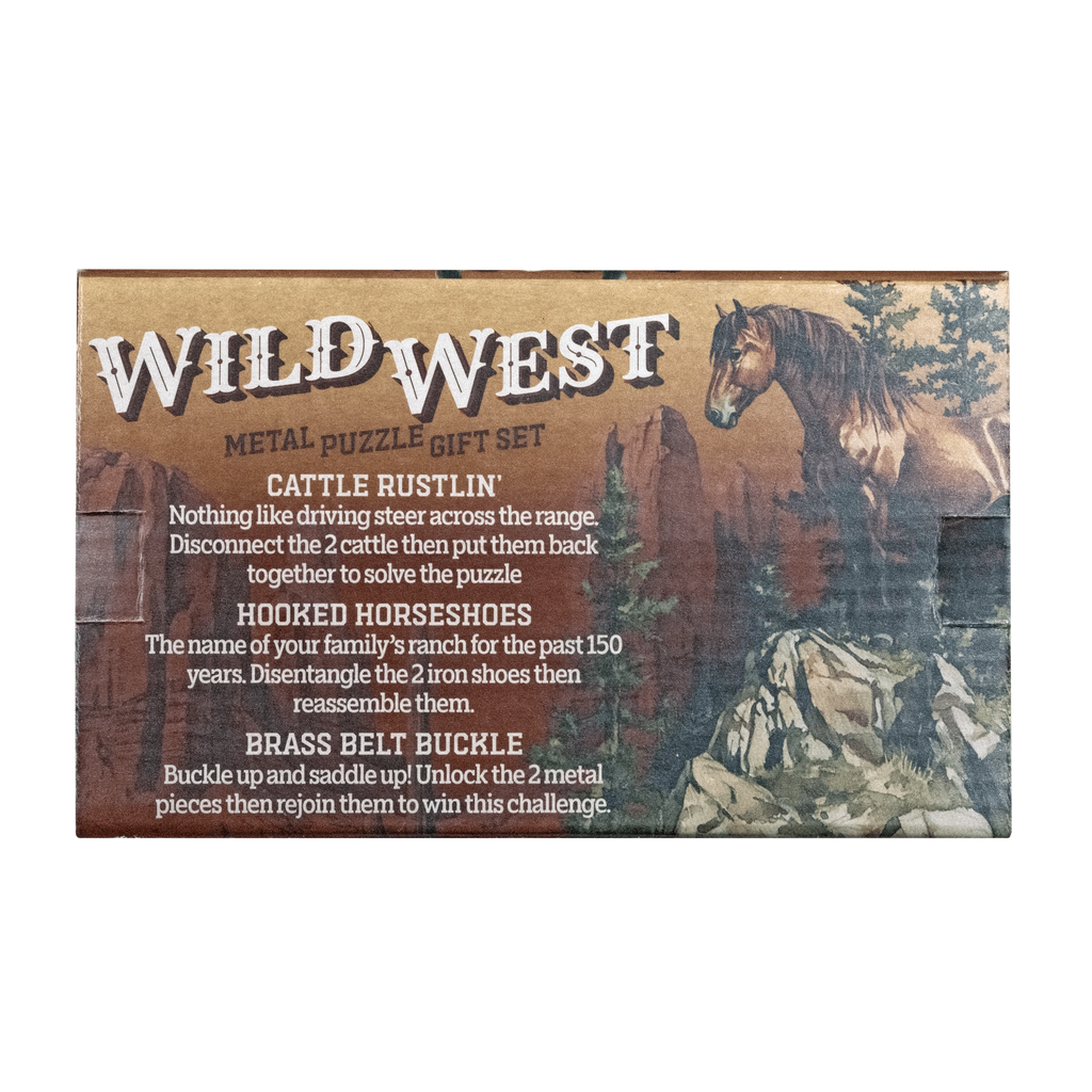 GS049 Wild West 3-Piece Metal Brain Teaser Gift Set