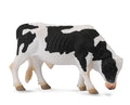Friesian Bull 88482