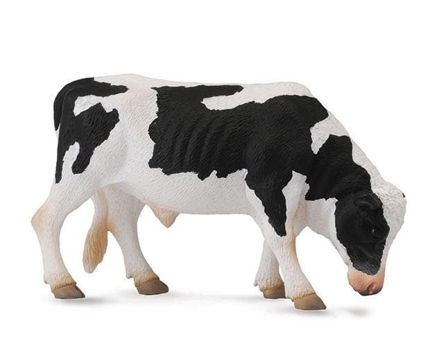 Friesian Bull 88482