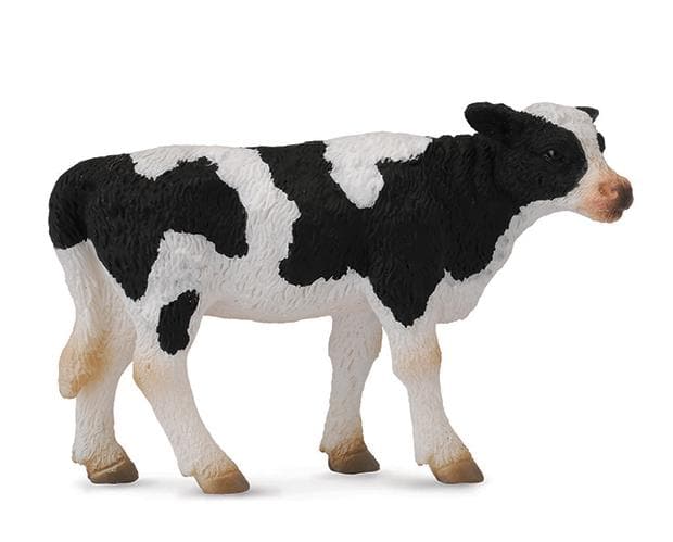 Friesian Calf 88483